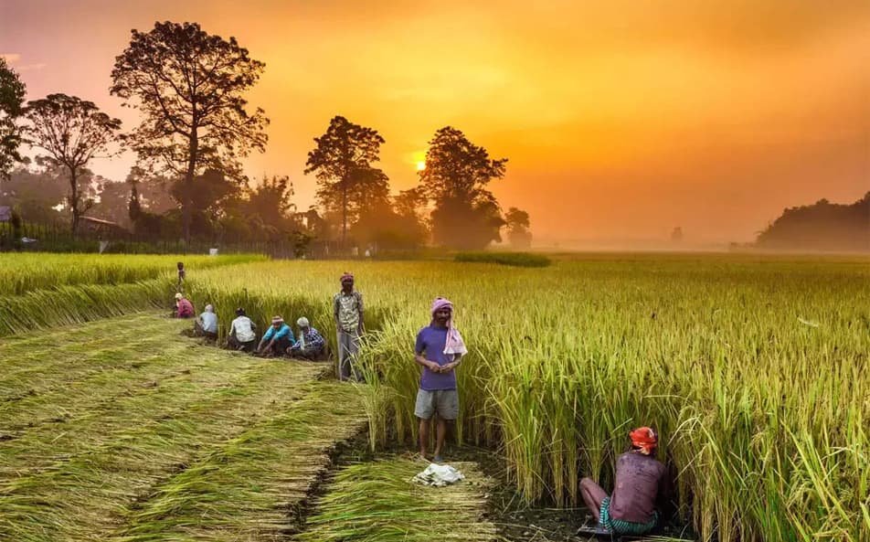 Advanced Pumping Solutions
for Modern Agriculture